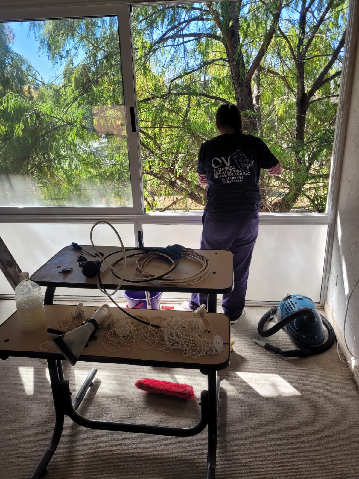 Trabajo de CV Lavados