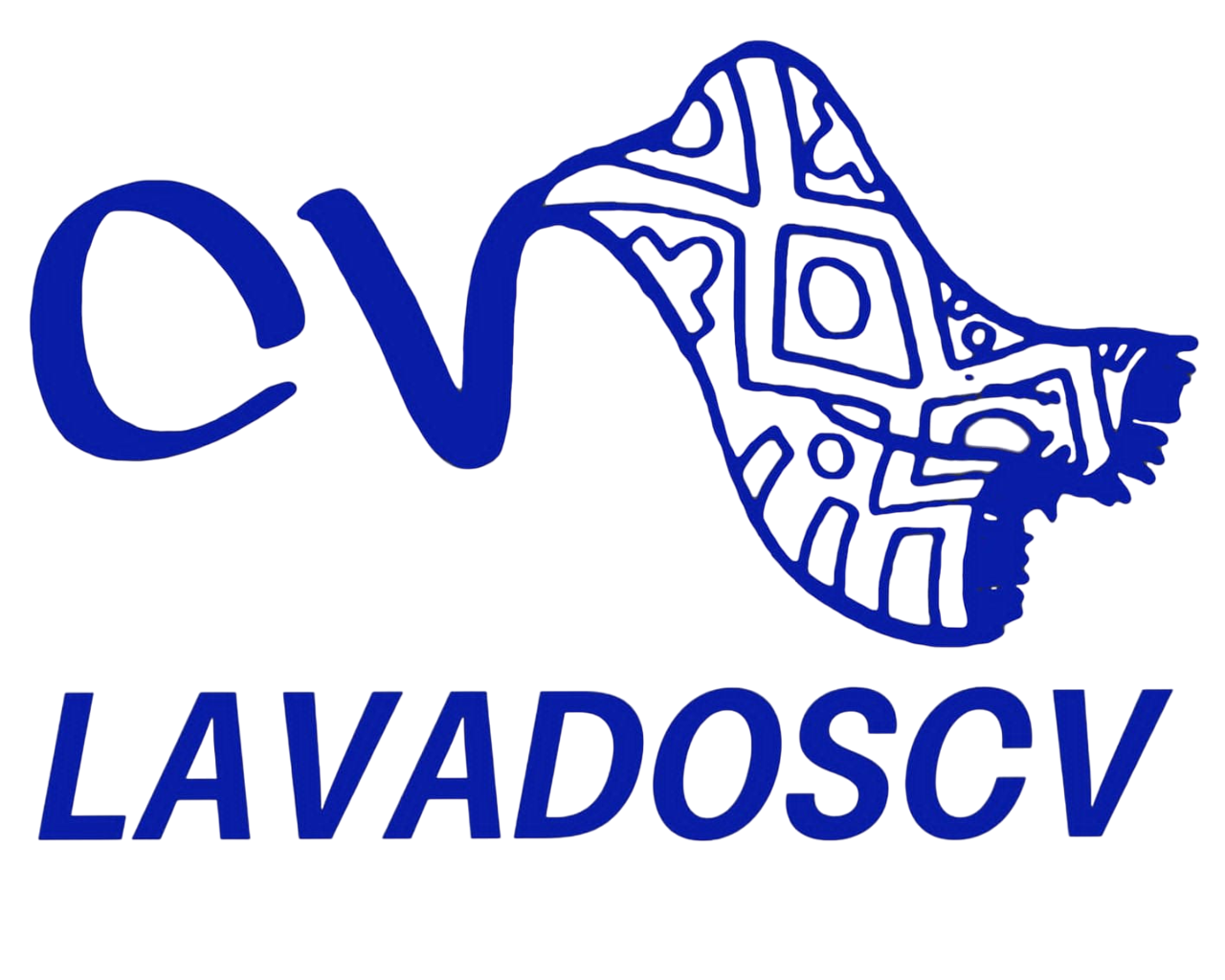 CV Lavados - Logo de limpieza profesional