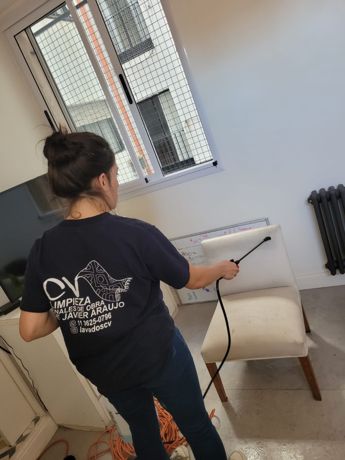 Trabajo de CV Lavados